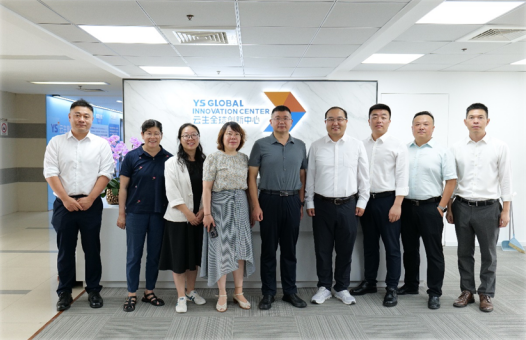 南京市秦淮区委常委、副区长黄琰一行莅临卓联智汇全球创新中心调研走访